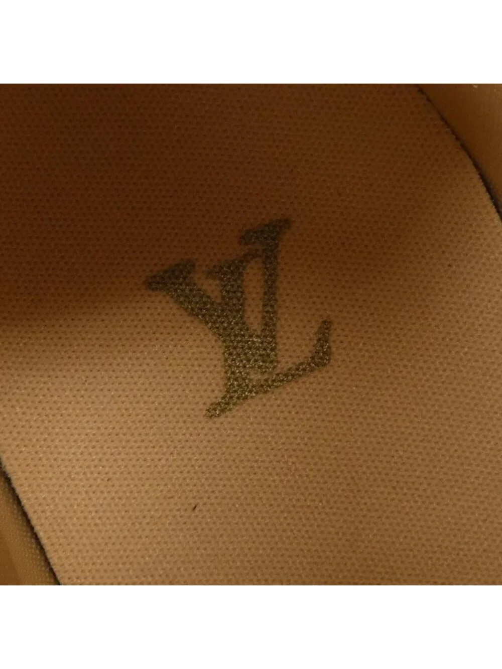 Louis Vuitton brand louis